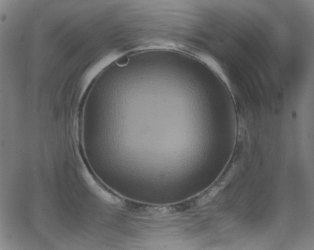 X0000062831003200601131253