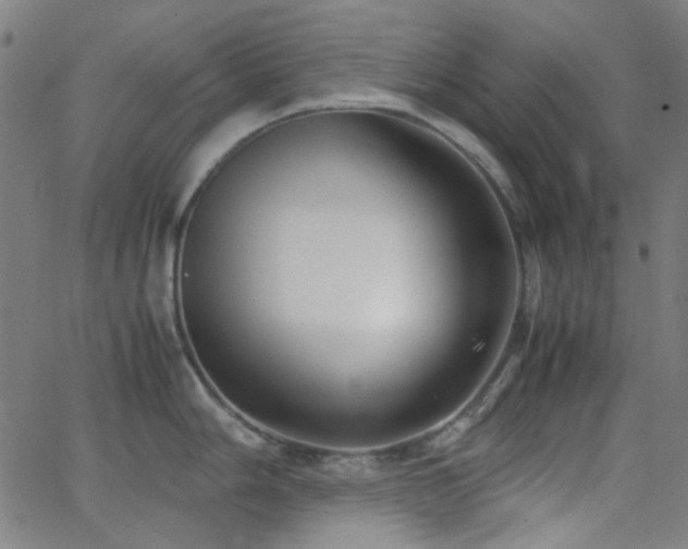 X0000062831006200601131253