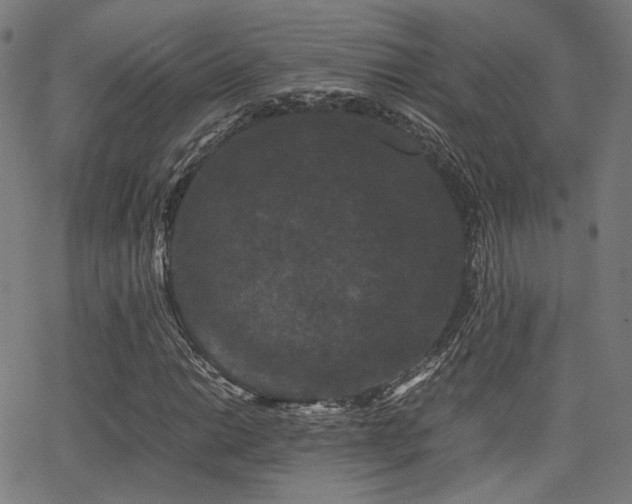 X0000062831014200601131252