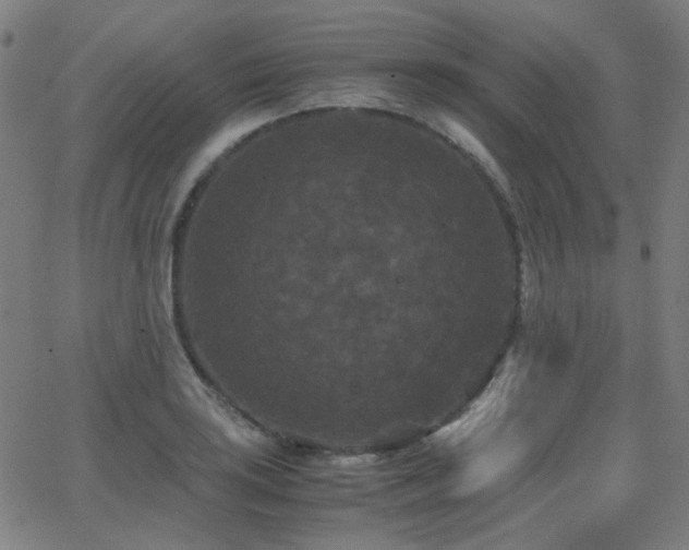 X0000062831035200601131253