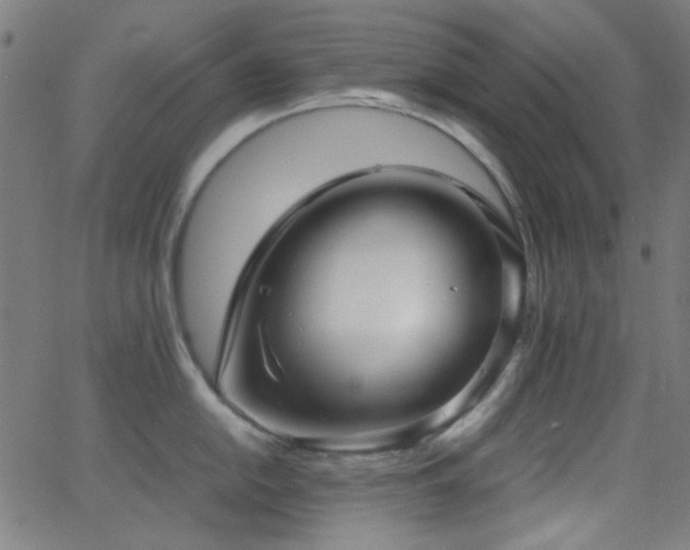 X0000062831054200601131253