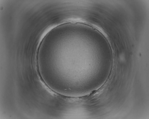 X0000062831056200601131253