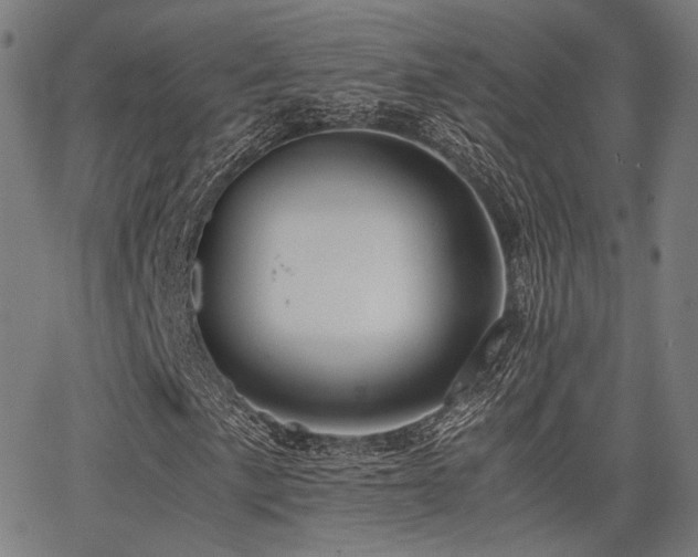 X0000062831057200601131252