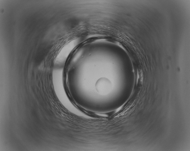 X0000062831059200601131252