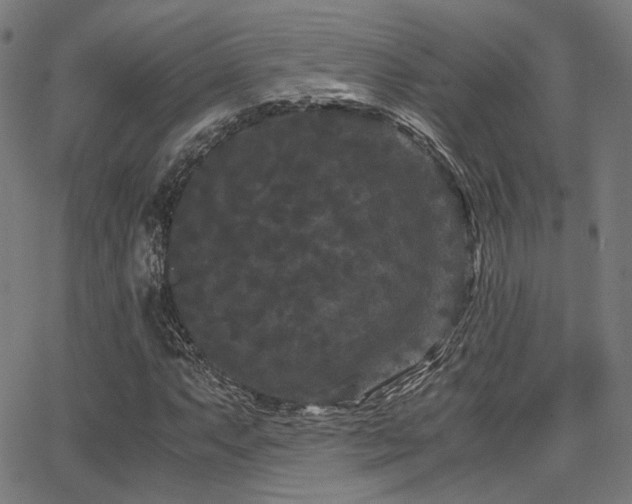 X0000062831063200601131252