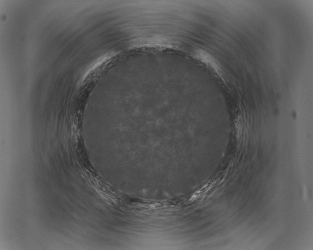 X0000062831064200601131252