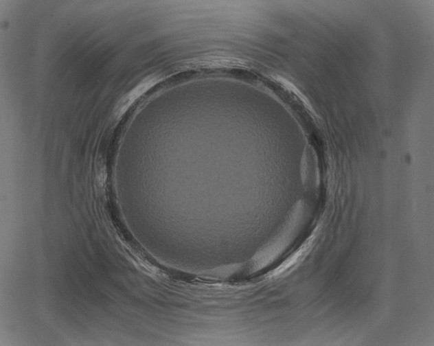 X0000062831065200601131252