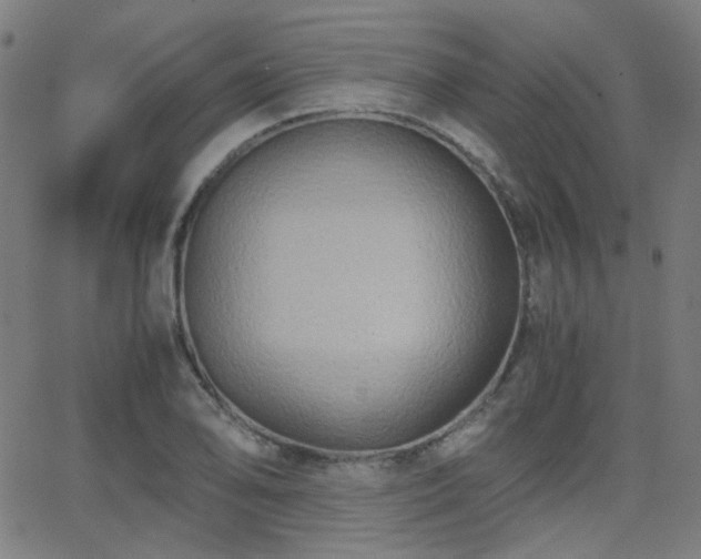 X0000062831078200601131252