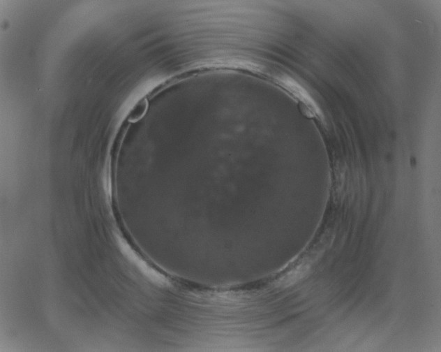 X0000062831084200601131252