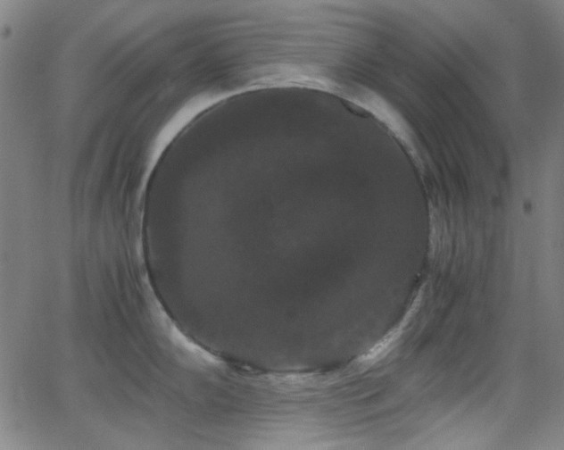 X0000062831102200601131251
