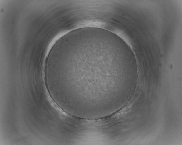 X0000062831104200601131251