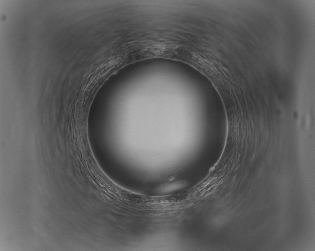 X0000062831105200601131250