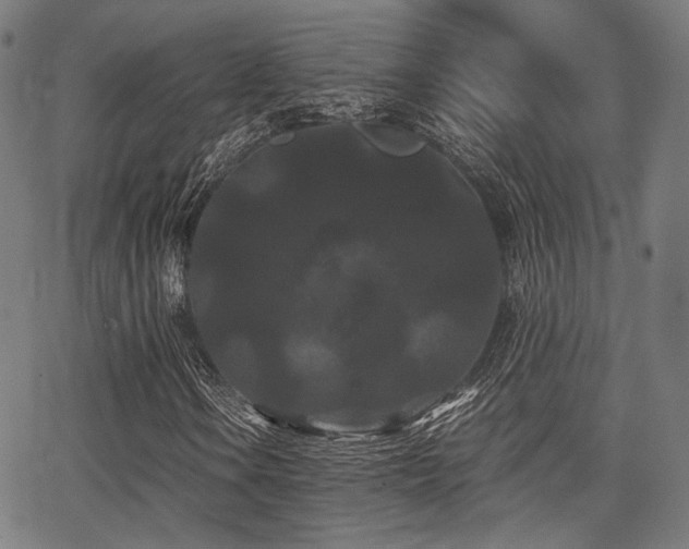 X0000062831106200601131250