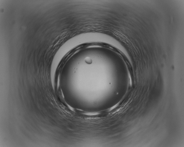 X0000062831107200601131250