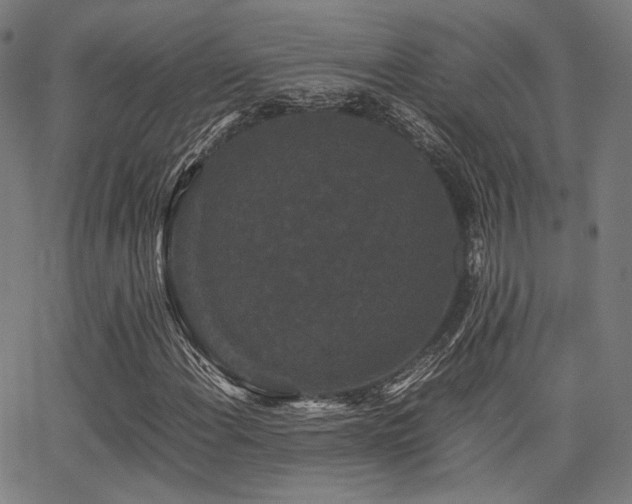 X0000062831108200601131251