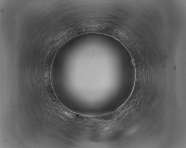 X0000062831109200601131251