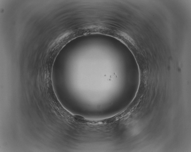 X0000062831111200601131251