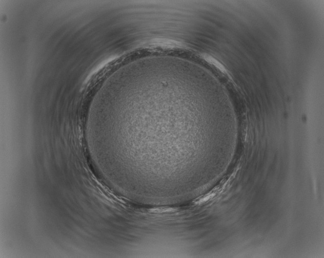 X0000062831112200601131251