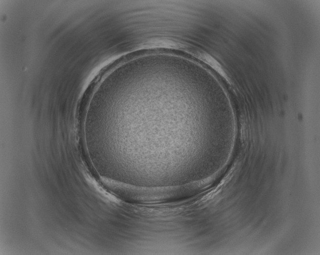 X0000062831116200601131251