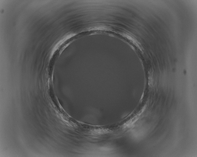 X0000062831117200601131251