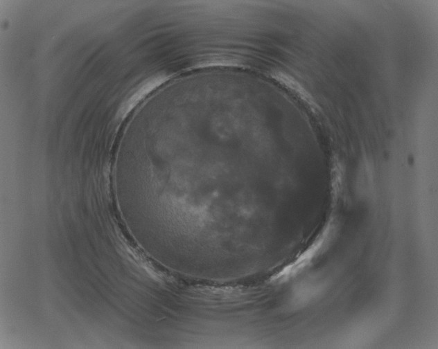 X0000062831121200601131251