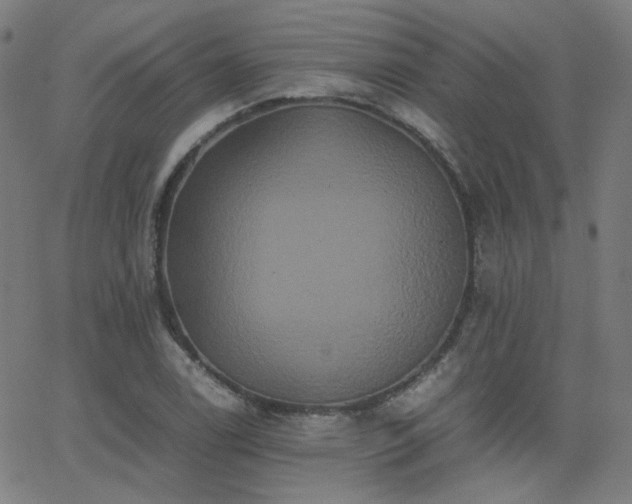 X0000062831122200601131251