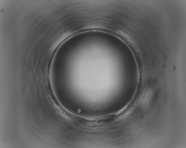X0000062831129200601131251
