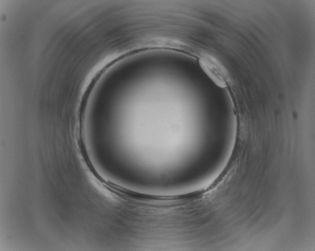 X0000062831136200601131251