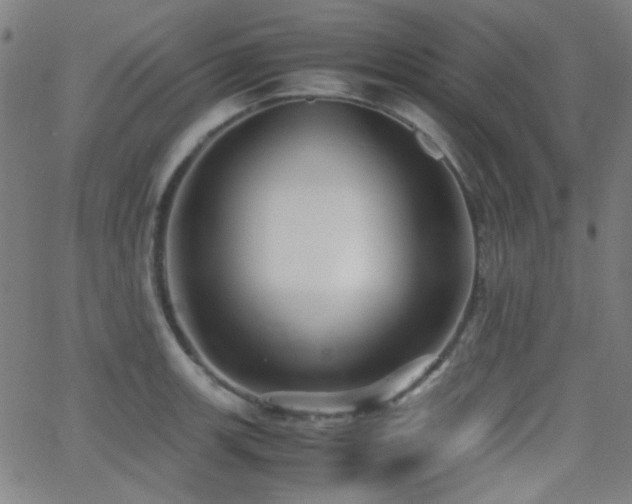 X0000062831139200601131251
