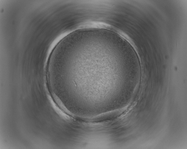 X0000062831152200601131251