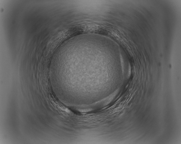 X0000062831153200601131250
