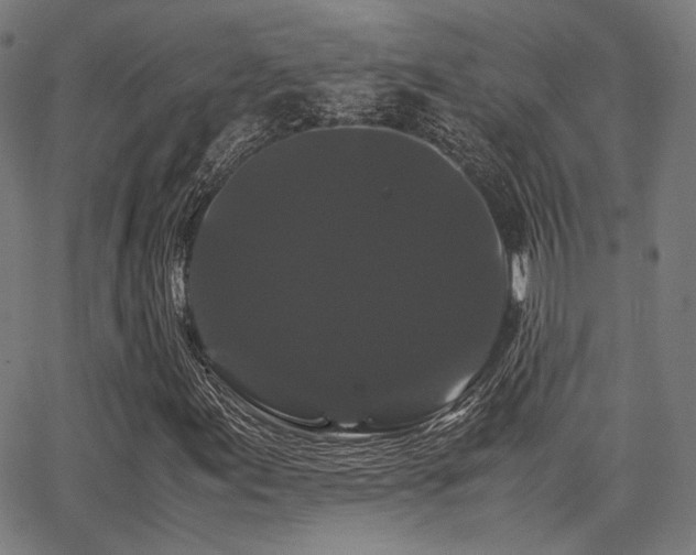 X0000062831155200601131250