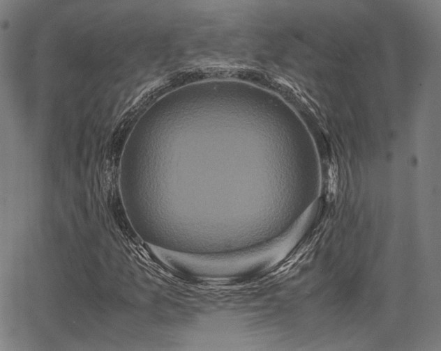 X0000062831157200601131250