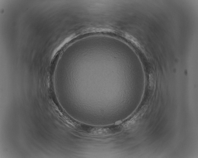 X0000062831165200601131250
