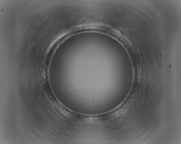 X0000062831166200601131250