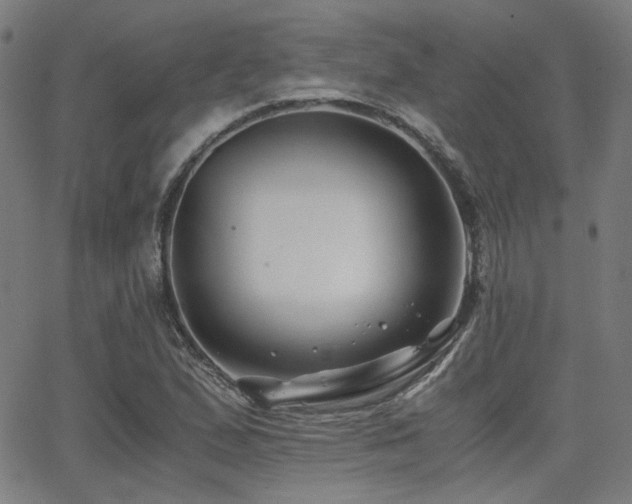 X0000062831167200601131250