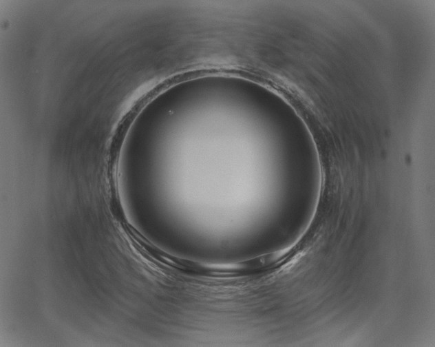 X0000062831168200601131250