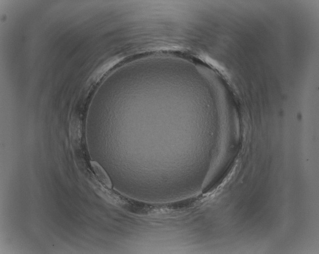 X0000062831169200601131250