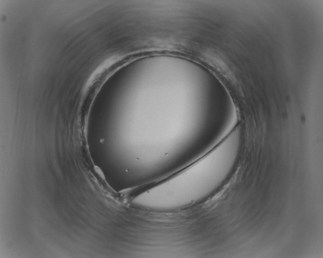 X0000062831172200601131250