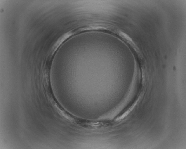 X0000062831177200601131250