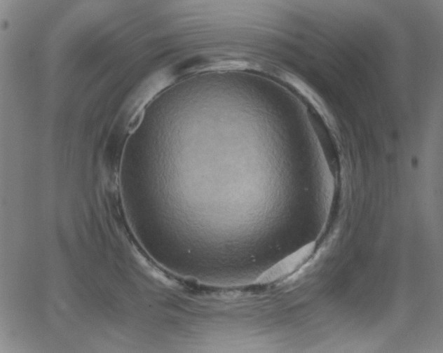 X0000062831193200601131250