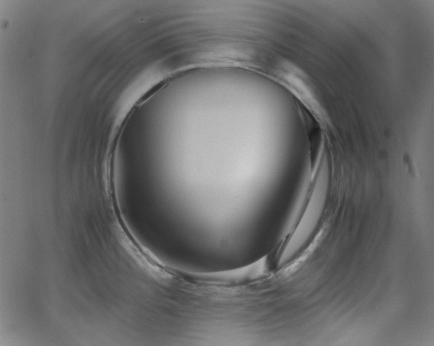 X0000062831196200601131250