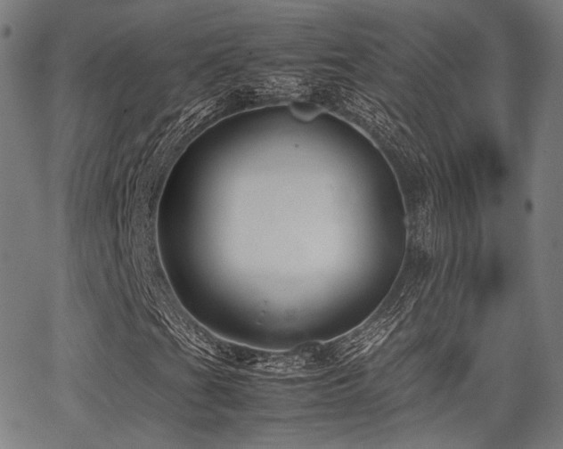X0000062831201200601131249
