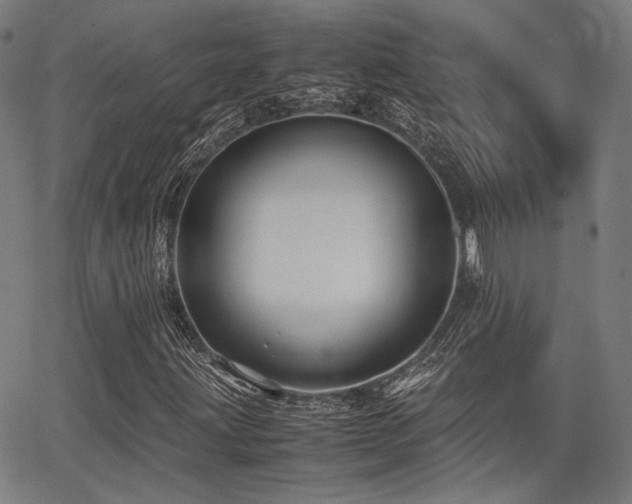 X0000062831203200601131249