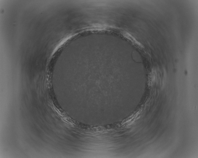 X0000062831208200601131249