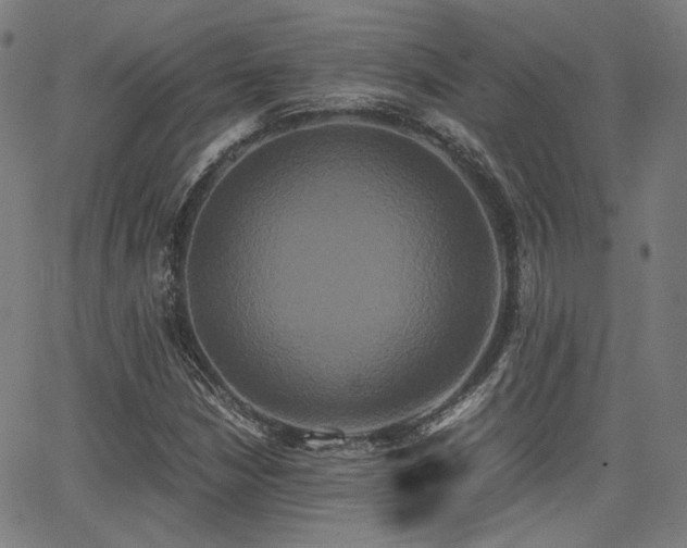 X0000062831210200601131249