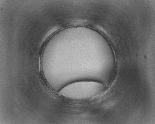 X0000062831219200601131249