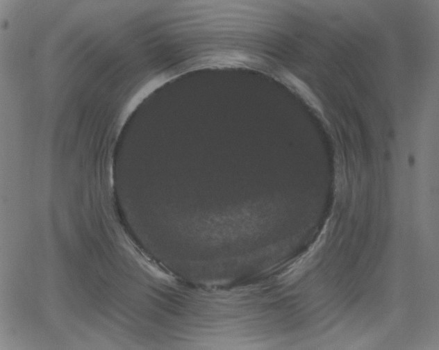 X0000062831226200601131249