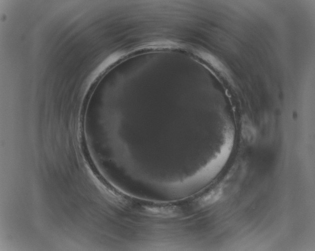 X0000062831229200601131249