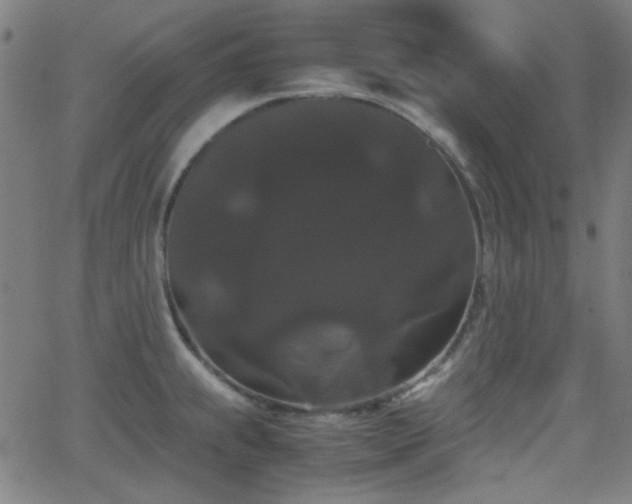 X0000062831239200601131249